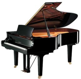 Yamaha C6X SH3