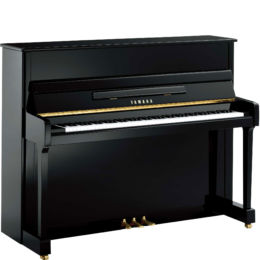 YAMAHA P 116 PE