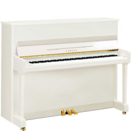 YAMAHA P116 PWH