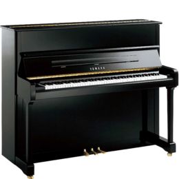 YAMAHA P121 PE