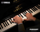 Yamaha Profi Pianist am Klavier