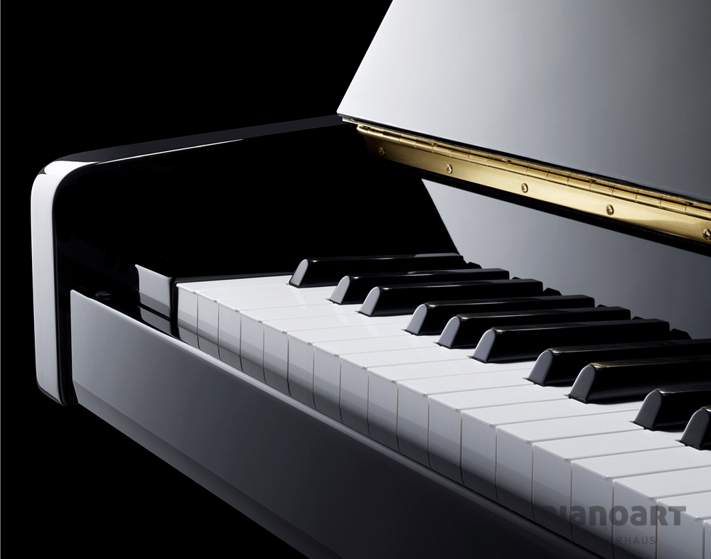 Yamaha b1 Klavier