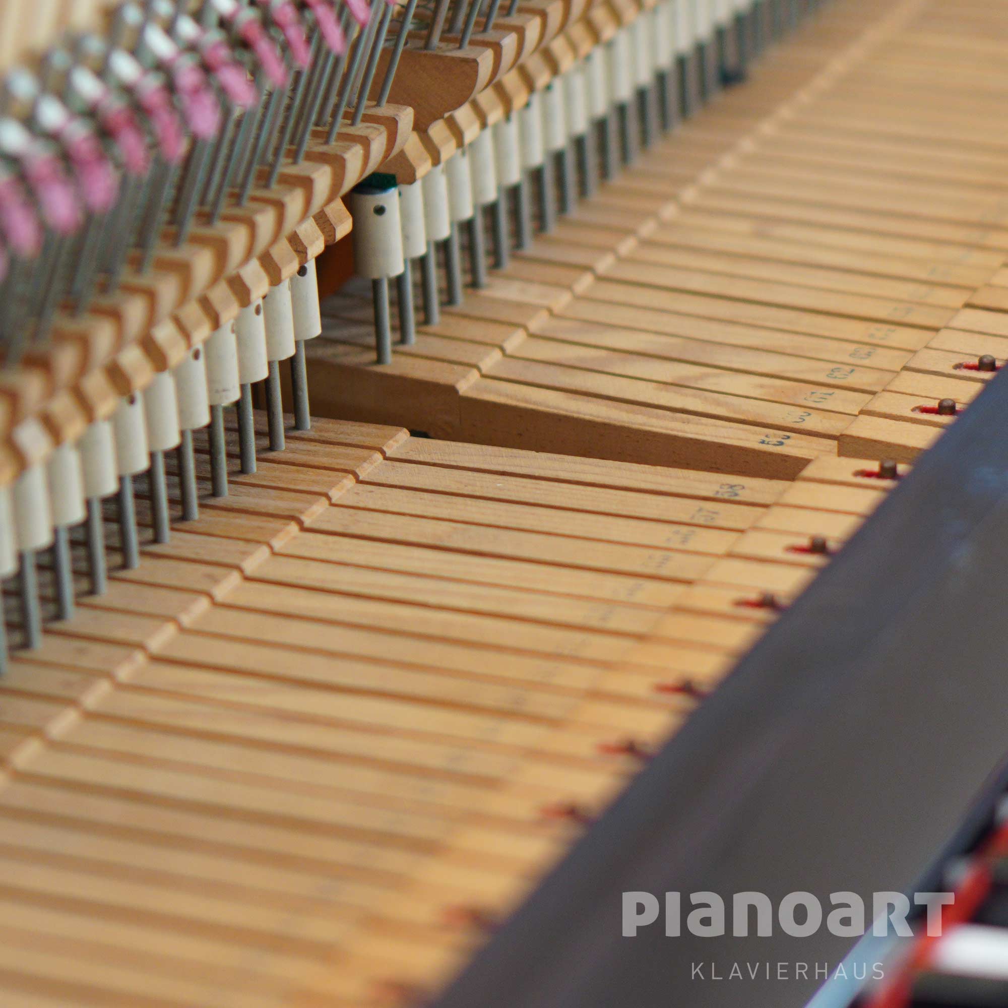 Tasten hinten eines Yamaha U1