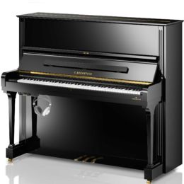 Silent C. BECHSTEIN Concert 8 VARIO