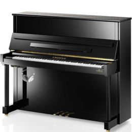 Silent C. BECHSTEIN Classic R6 VARIO