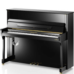 Silent C. BECHSTEIN Contur R4 VARIO