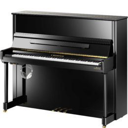 Silent C. BECHSTEIN Elegance R6 VARIO