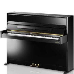 C. BECHSTEIN Academy A2