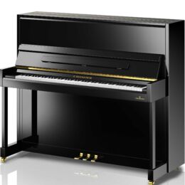 C. BECHSTEIN Academy A6