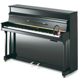 GROTRIAN STEINWEG G-113 Silent