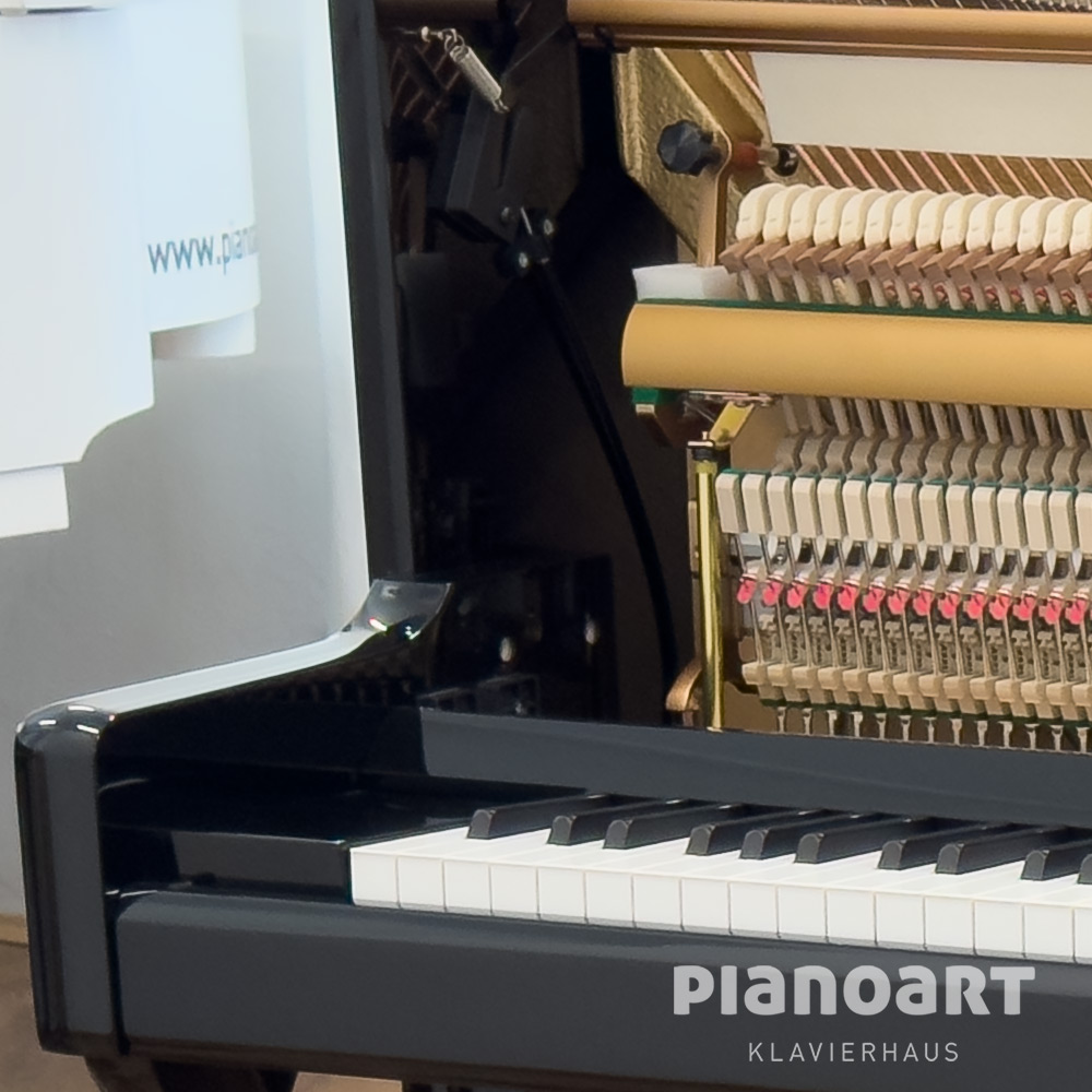 Mechanik Wilh. Steinberg P 118 Klavier