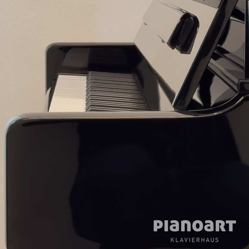 Seitenansicht Steinberg Klavier