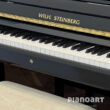Wilh. Steinberg P 118 Klavier-Logo Ansicht