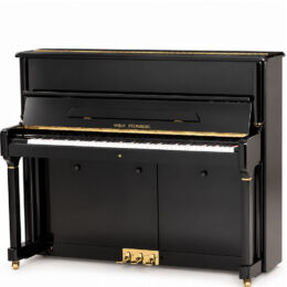 Wilh. Steinberg Performance P-125 Klavier
