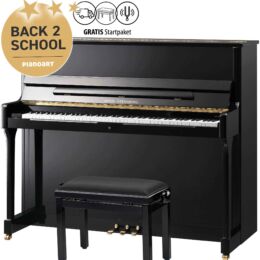 Wilh. Steinberg S 117 Klavier