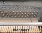 Feurich Klavier Vienna 123 Innenansicht