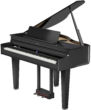 Digital Grandpiano Roland GP6