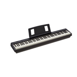 ROLAND FP-10