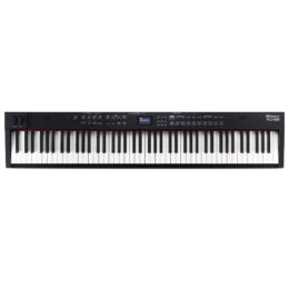 ROLAND RD 88 EX
