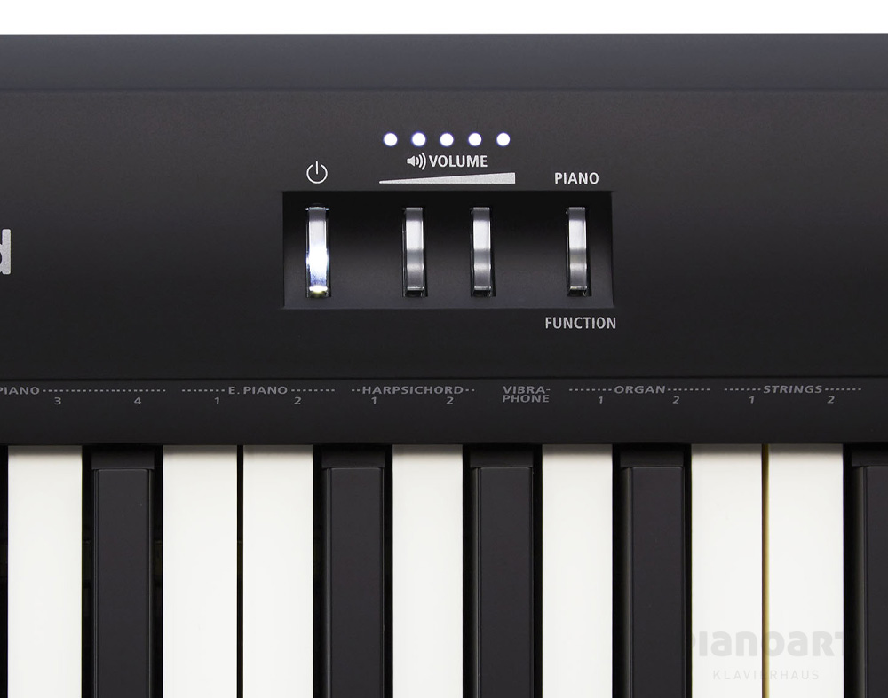 Roland FP-10 BK Digital Piano Bedienermodul