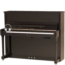 WILH. STEINBERG Silent Piano P-121