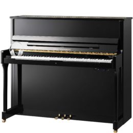 WILH. STEINBERG Signature S-125 Silent