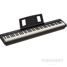 ROLAND FP-10