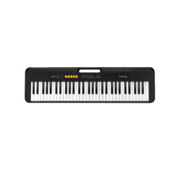 CASIO CASIOTONE CT-S100