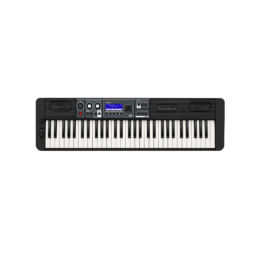 CASIO CASIOTONE CT-S500