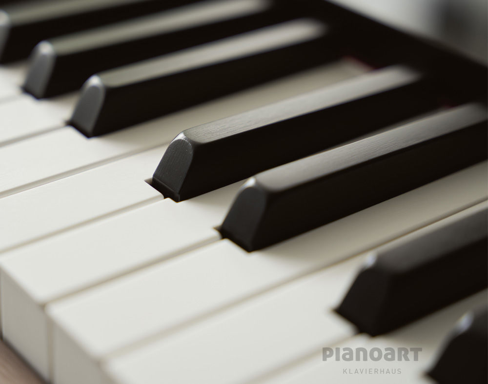 Casio Privia PX-S6000 E-Piano Tasten