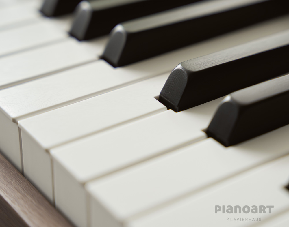 Casio Privia PX-S7000BK E-Piano Tasten