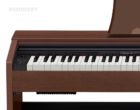 Casio Privia Px770 BN E-Piano Tasten