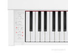 Casio Privia Px770 WE E-Piano Bedienermodul