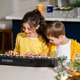CASIO LEUCHTTASTEN LK-S450