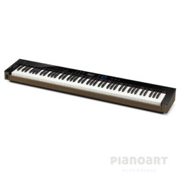 CASIO PRIVIA PX-S6000
