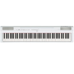 YAMAHA P-225
