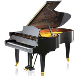 C.BECHSTEIN Concert B 212