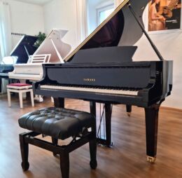 YAMAHA GC 1
