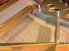 Steinway O-180 Gebrauchter Flügel Saiten