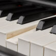 Yamaha Digitalpiano P-525 mit Holztasten Ansicht