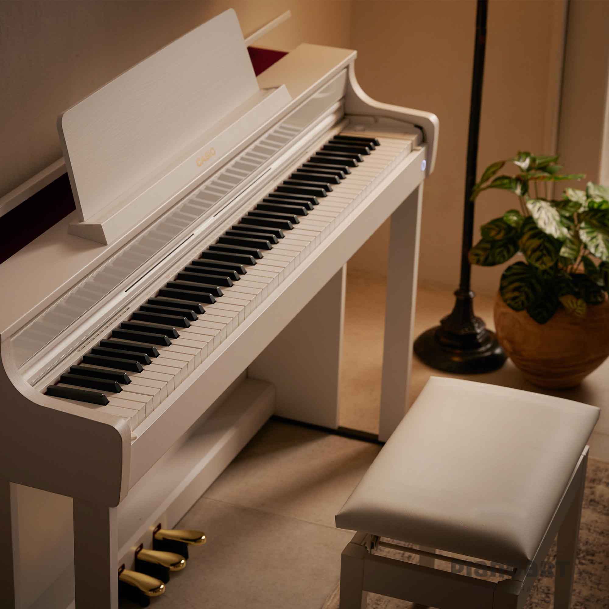 Casio AP-550 mit Piano Hocker