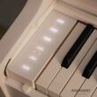 Digitalpiano Casio Celviano ap-550 We-Bedienfeld