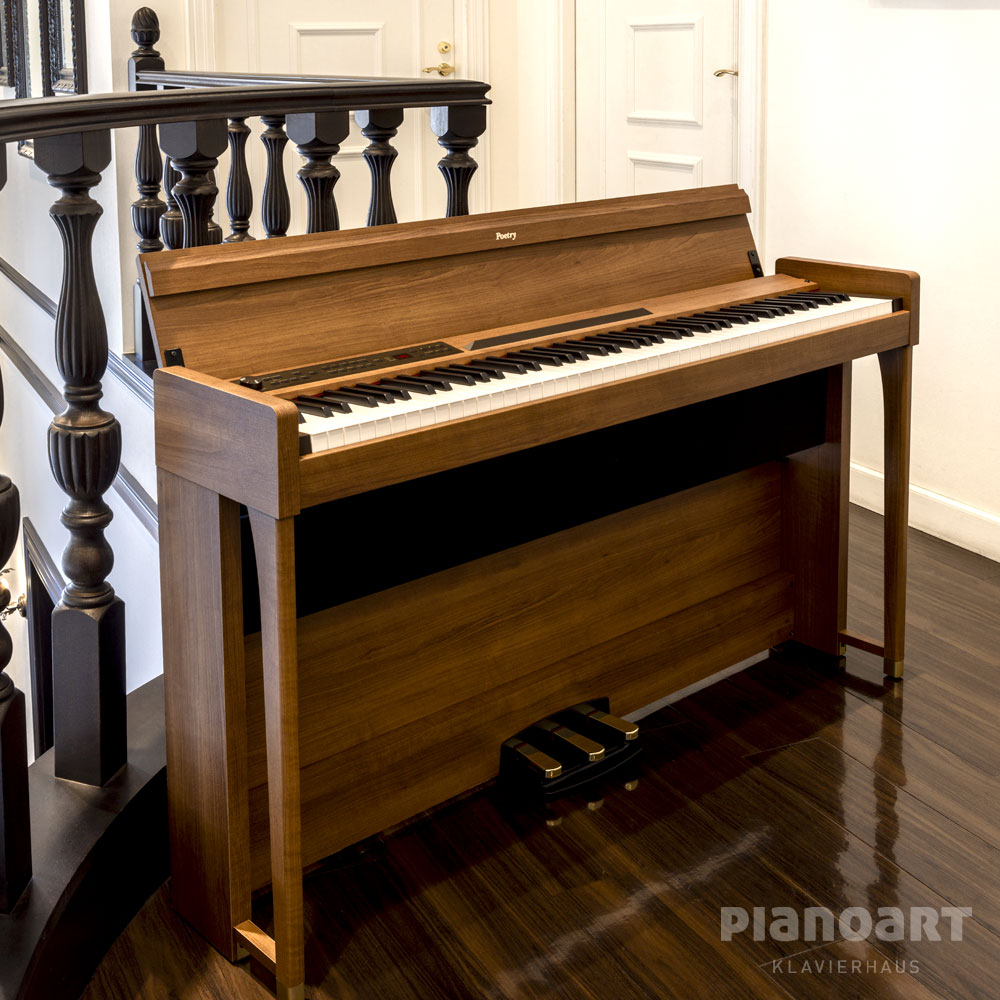Korg Serie Digitale E-Pianos