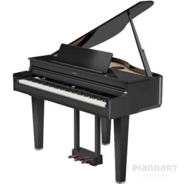 ROLAND GP-6