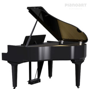 Roland GP-9 M PE in Schwarz