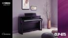Yamaha Clavinova CLP 875 Image