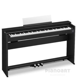 CASIO CELVIANO AP-S200