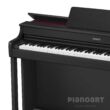 Digitalpiano Casio AP 300 BK
