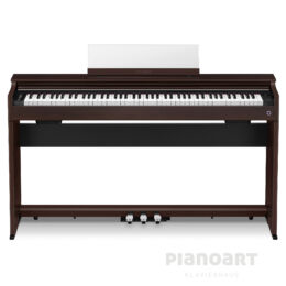 CASIO CELVIANO AP-S200 Gebraucht