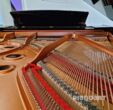 Gussplatte des Yamaha C5X PE Flügel
